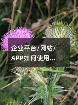 I(y)ƽ_/W(wng)վ/APPʹCa?