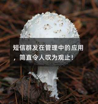 Ⱥl(f)ڹеđ(yng)ãֱˇ@^ֹ!