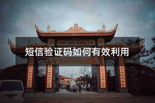短信驗(yàn)證碼如何有效利用