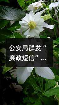 公安局群發(fā)“廉政短信”,助力民警防腐拒腐