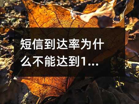 ŵ_ʞʲô_100%?
