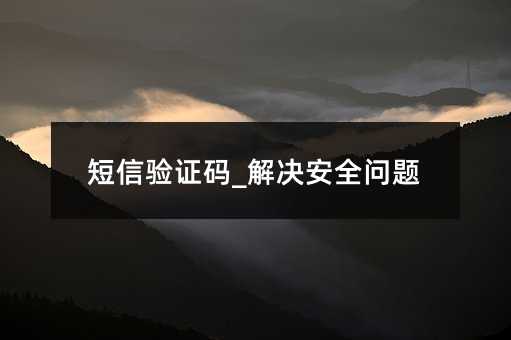 短信驗(yàn)證碼_解決安全問題