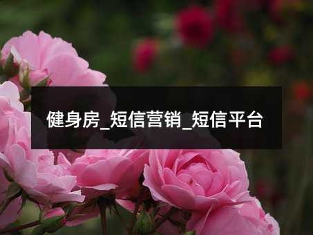 健身房_短信營(yíng)銷(xiāo)_短信平臺(tái)