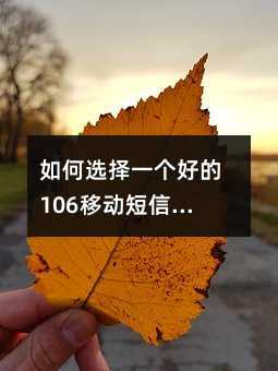 xһ(g)õ106Ƅ(dng)Ⱥl(f)ƽ_(ti)