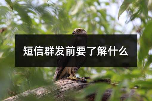 Ⱥl(f)ǰҪ˽ʲô