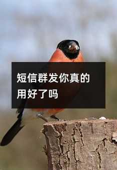 Ⱥl(f)úˆ