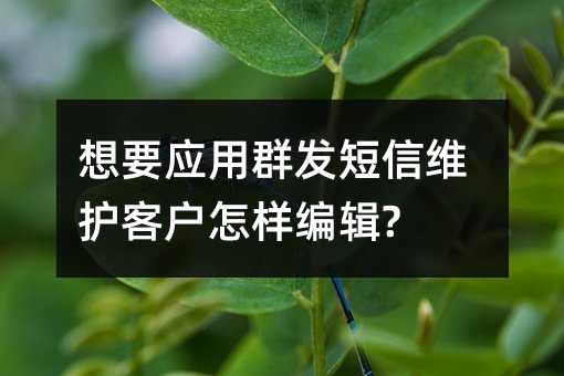想要應(yīng)用群發(fā)短信維護(hù)客戶怎樣編輯?