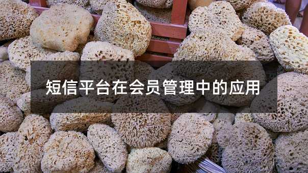 ƽ_(ti)ڕ(hu)Tеđ(yng)