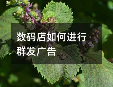 (sh)aMȺl(f)V