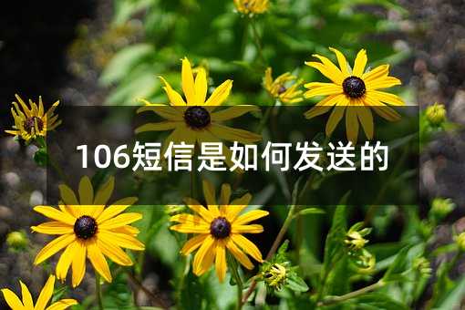 106ΰl(f)͵