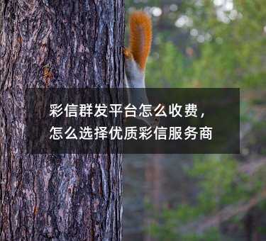 Ⱥl(f)ƽ_ôMôx(yu)|(zh)ŷ(w)