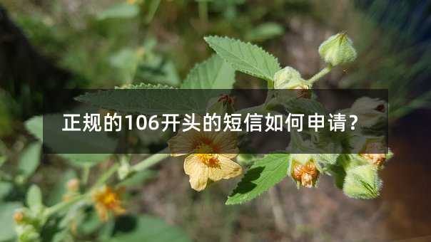 Ҏ(gu)106_(ki)^ĶՈ(qng)