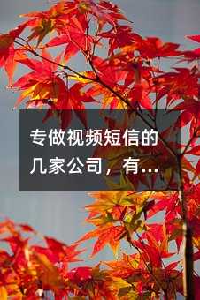 專做視頻短信的幾家公司,有哪些?