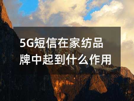 5GڼҼƷʲô
