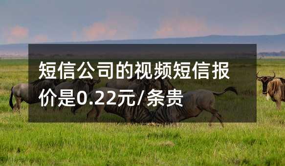 短信公司的視頻短信報(bào)價(jià)是0.22元/條貴嗎?