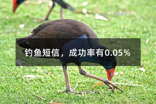 ~ɹ0.05%