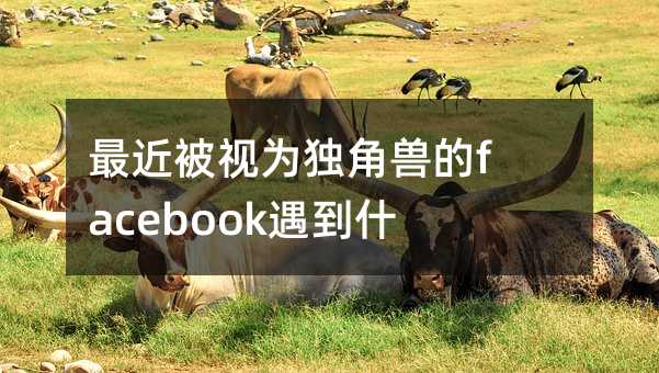 ҕ骚(d)ǫFfacebookʲô韩
