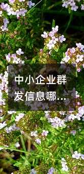 СI(y)Ⱥl(f)ϢļҺ?Ⱥl(f)˾]!