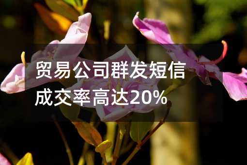 Q(mo)׹˾Ⱥl(f)ųɽʸ_(d)20%