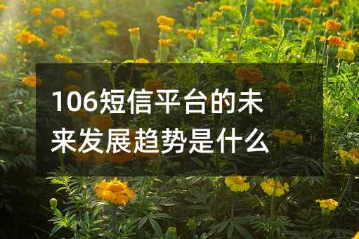 106ƽ_(ti)δl(f)չڅ(sh)ʲô