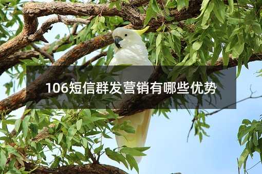 106Ⱥl(f)I(yng)N(xio)Щ(yu)(sh)