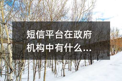 ƽ_C(j)(gu)ʲô(yng)