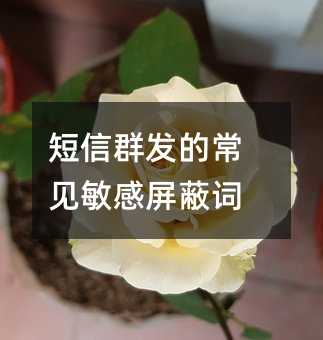 短信群發(fā)的常見敏感屏蔽詞