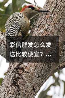 Ⱥl(f)ôl(f)ͱ^и[T᣿