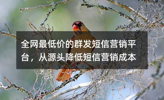 ȫW(wng)̓r(ji)Ⱥl(f)ŠI(yng)Nƽ_(ti)Դ^ͶŠI(yng)Nɱ