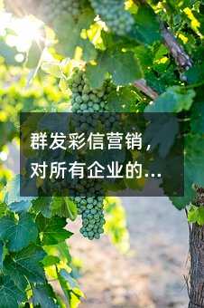群發(fā)彩信營銷,對所有企業(yè)的會員維護都有用