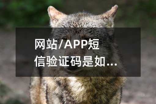 網(wǎng)站/APP短信驗(yàn)證碼是如何實(shí)現(xiàn)?