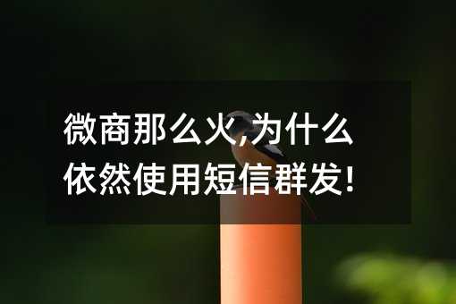 微商那么火,為什么依然使用短信群發(fā)!