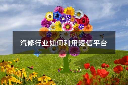 汽修行業(yè)如何利用短信平臺(tái)