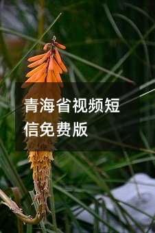 ຣʡҕlM(fi)