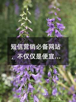 ŠIN؂W(wng)վHHǱˣҪǺ