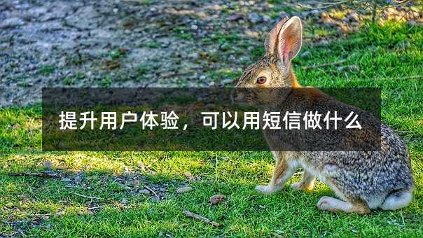 Ñw򞣬öʲô