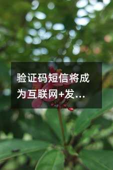 CaŌɞ黥(lin)W(wng)+l(f)չڅ