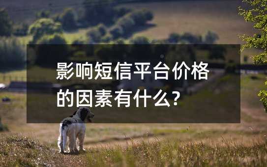 Ӱ푶ƽ_(ti)r(ji)ʲô?