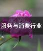 (w)cMИI(y)