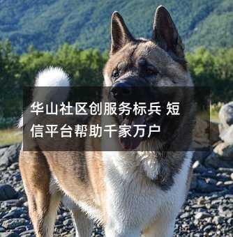 華山社區(qū)創(chuàng)服務(wù)標(biāo)兵 短信平臺(tái)幫助千家萬(wàn)戶(hù)