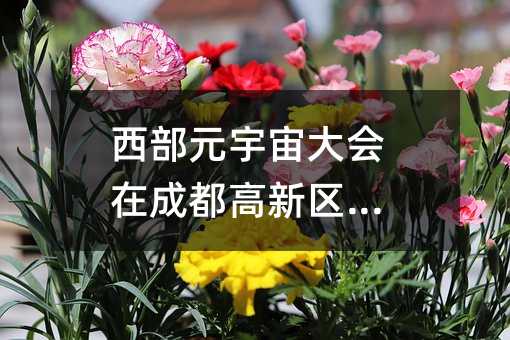西部元宇宙大會在成都高新區(qū)舉辦