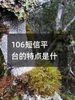 106ƽ_(ti)c(din)ʲô?