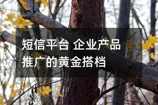 短信平臺 企業(yè)產(chǎn)品推廣的黃金搭檔