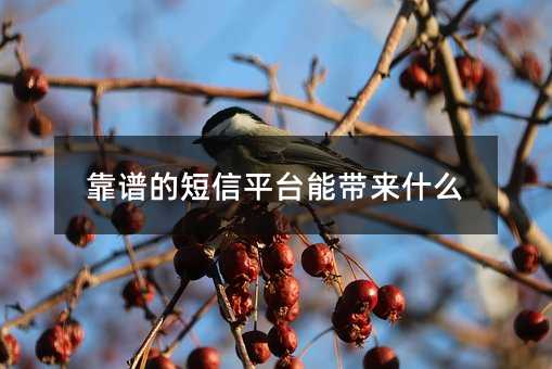 VĶƽ_(ti)܎(li)ʲô