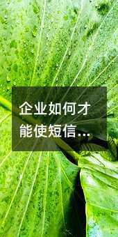I(y)βʹЧ