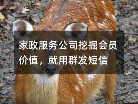 (w)˾ھTrֵȺl(f)