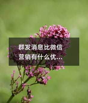 Ⱥl(f)Ϣ΢ŠI(yng)Nʲô(yu)(sh)