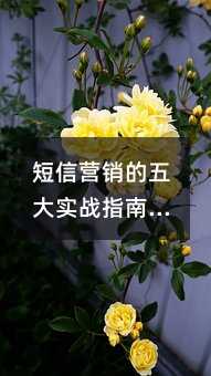 ŠI(yng)N(sh)(zhn)ָϣ׌ÿһlϢ(chung)r(ji)ֵ
