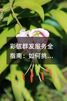 Ⱥl(f)(w)ȫָϣxɿƽ_(ti)cƳɱ