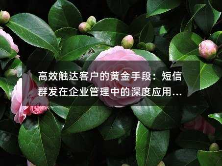 Ч|_(d)͑SֶΣȺl(f)I(y)еȑ(yng)ָ